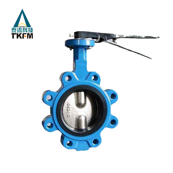 凸耳式對(duì)夾蝶閥LTD71X